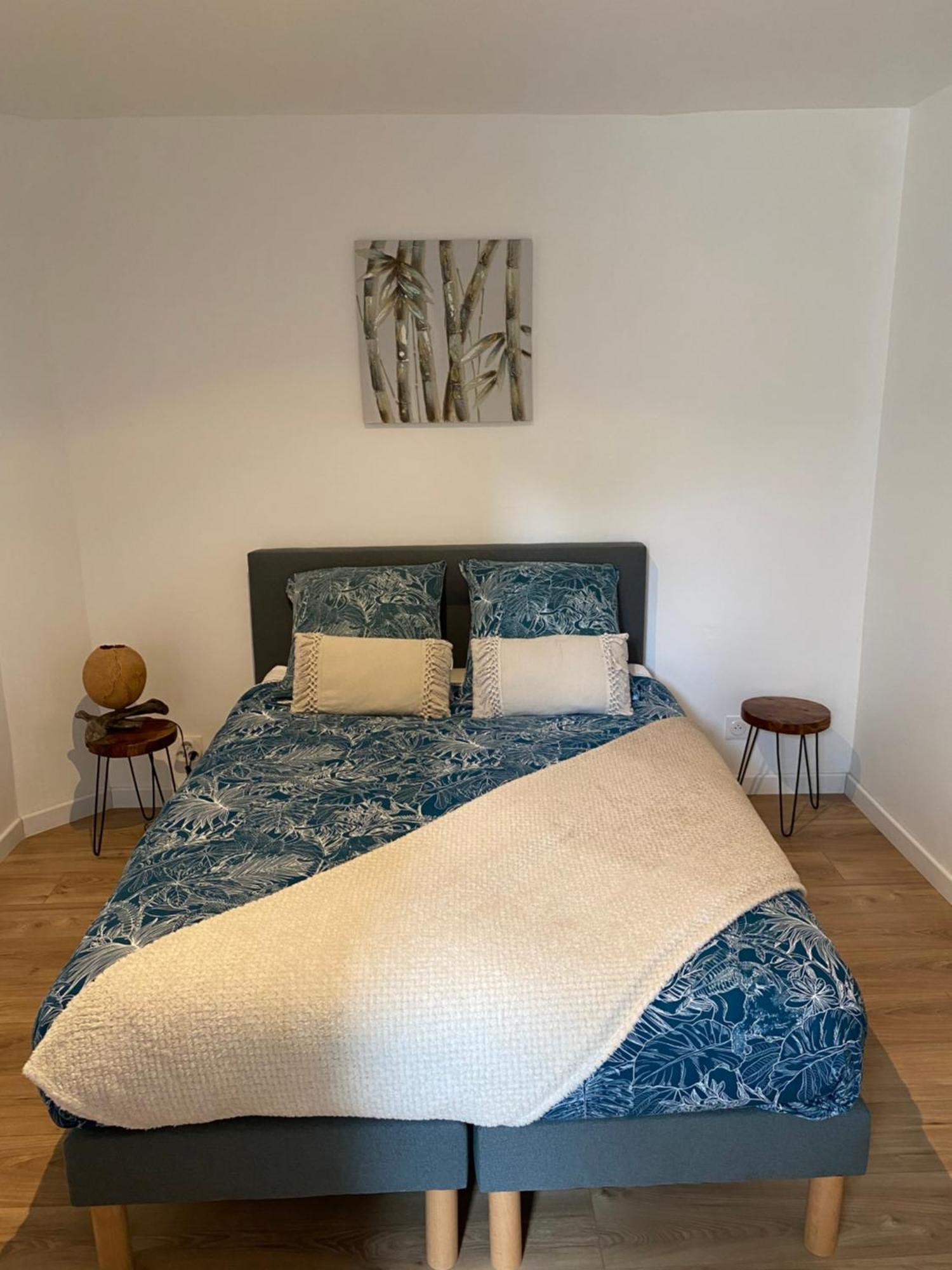 • Bel Appartement - Centre Historique De ปัวติเยร์ ภายนอก รูปภาพ